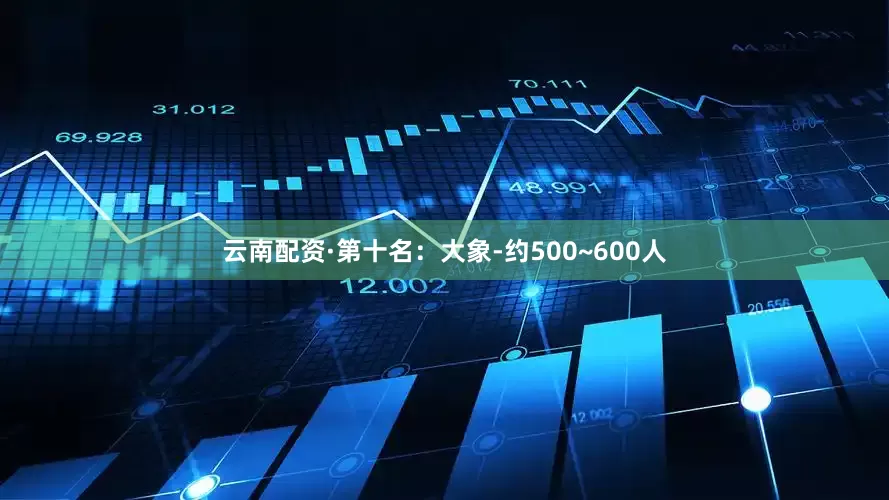 云南配资·第十名：大象-约500~600人