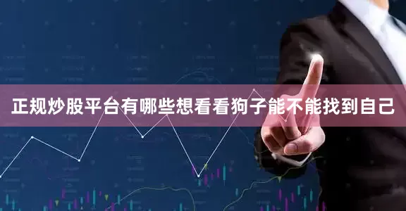 正规炒股平台有哪些想看看狗子能不能找到自己